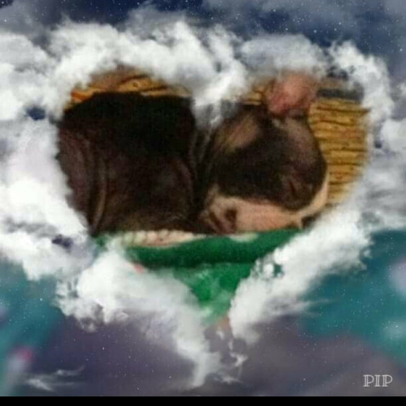 Meet your Posher, Cyndi - Picture 1 of 1